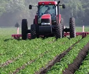 چرا میوه های برگشت خورده صادراتی ایران در داخل استفاده می شوند؟