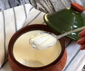 طرز تهیه ماست خانگی؛ فوت و فن های درست کردن یه ماست سفت و خوشمزه