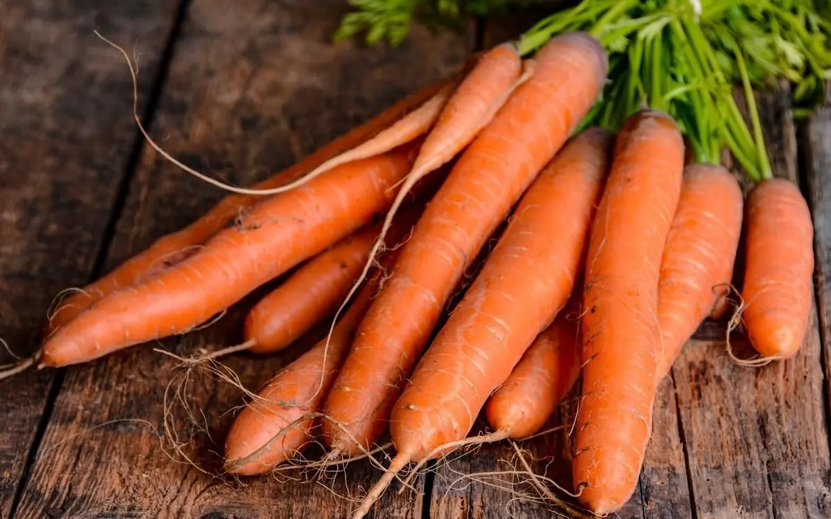 carrots-table_popidar-ss