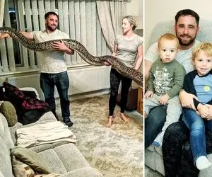 مار یک متری در اتاق خواب زن و شوهر و اتفاق عجیب بعدش! + ویدیو