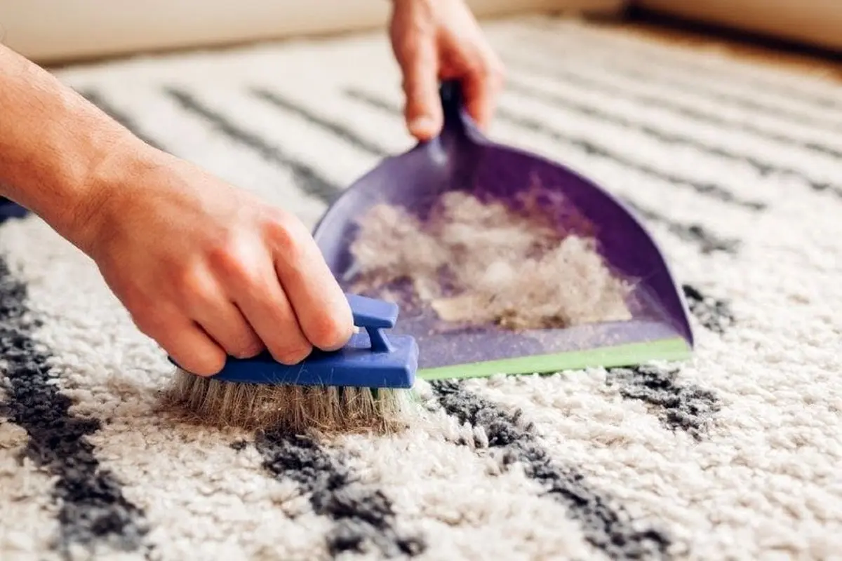 Man-cleans-dirty-rug_Mariia-Boiko_Shutterstock