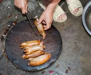 غذای چندش؛ چرکای موش سیاه رو با آبجوش تمیز و با فلفل دلمه‌ای مزه دار میکنن 