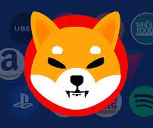 شور و هیجان جدید از شیبااینو!!