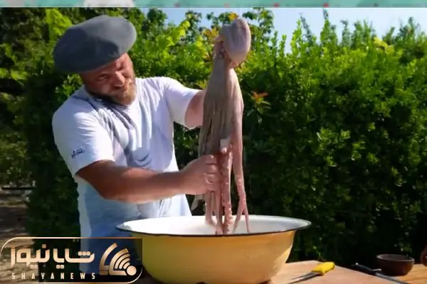 آشپزی در طبیعت