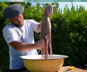 دو تا اختاپوس دیشلمه قربانی آشپزی در طبیعت شدن اگه چندشت میشه نبین بدجور چششو درورد!