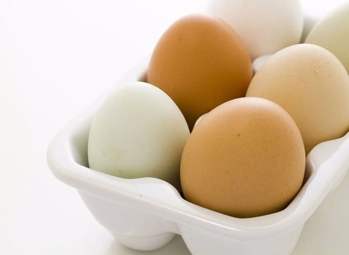 eggs