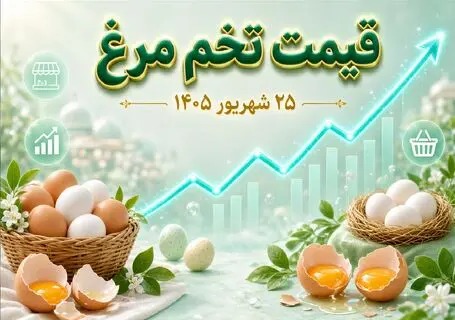 قیمت تخم مرغ امروز چهارشنبه 25 شهریور 1405 / تخم مرغ شانه‌ ای چند شد؟ 