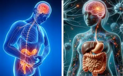 دلیل استرس و بی حوصلگی مشخص شد؛ خلق و خوی ما تا حد زیادی به روده‌هایمان بند است!