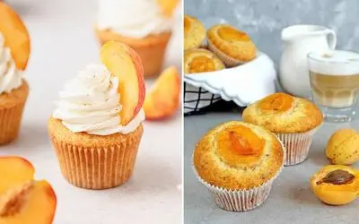 طرز تهیه مافین زردآلو با فر و بدون فر / دستور پخت راحت برای تهیه شیرینی خوشمزه