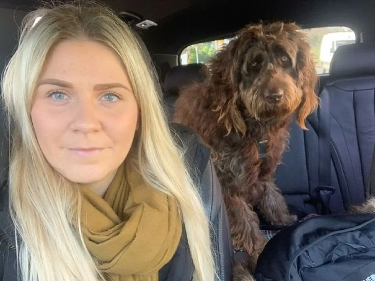 0_PAY-DOG-GETS-MISTAKEN-FOR-CHEWBACCA (3)