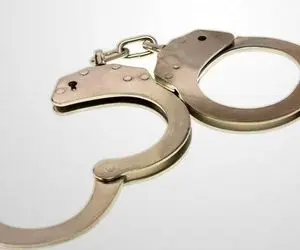 
دستگیری یک اوباش مسلح درکرج
