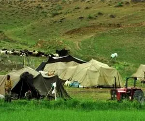 تامین 30 هزار لیتر نفت برای عشایر کلات