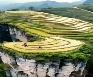 معماری خلاقانه؛ خوشگلترین مزرعه ی موجی دنیا رو بالای کوه ساختن تکه گمشده بهشته