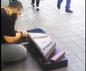 آواز خیابانی؛ ببینید آقای ریشو چه سنتوری تو کف خیابون میزنه ملت فیض بردن!