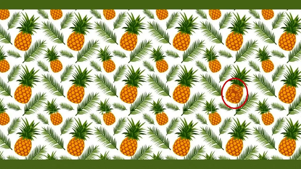 پاسخ-تست-بینایی-پیدا-کردن-میمون-در-میان-آناناس_ها