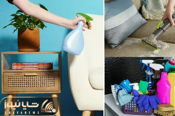sofa cleaning-shayanews