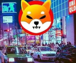 بررسی قیمت فرزندان شیبااینو به صورت تکنیکال!