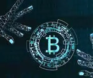 نبردی بین گاوها و خرس های بیت کوین!!