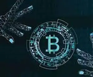 نبردی بین گاوها و خرس های بیت کوین!!