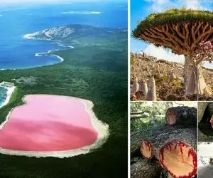 مقاصد شگفت انگیز دنیا که کمتر کسی سراغشون رفته؛ سفر به جاهایی که رازهای پنهان زمینند