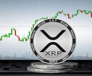 ریپل جنگ به پا خواهد کرد!