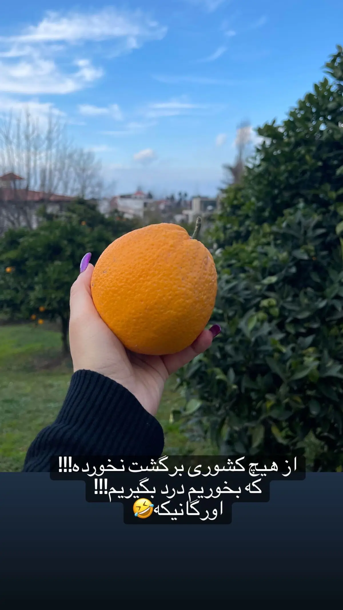 nafisehroshan_2747239322593861734_710128517
