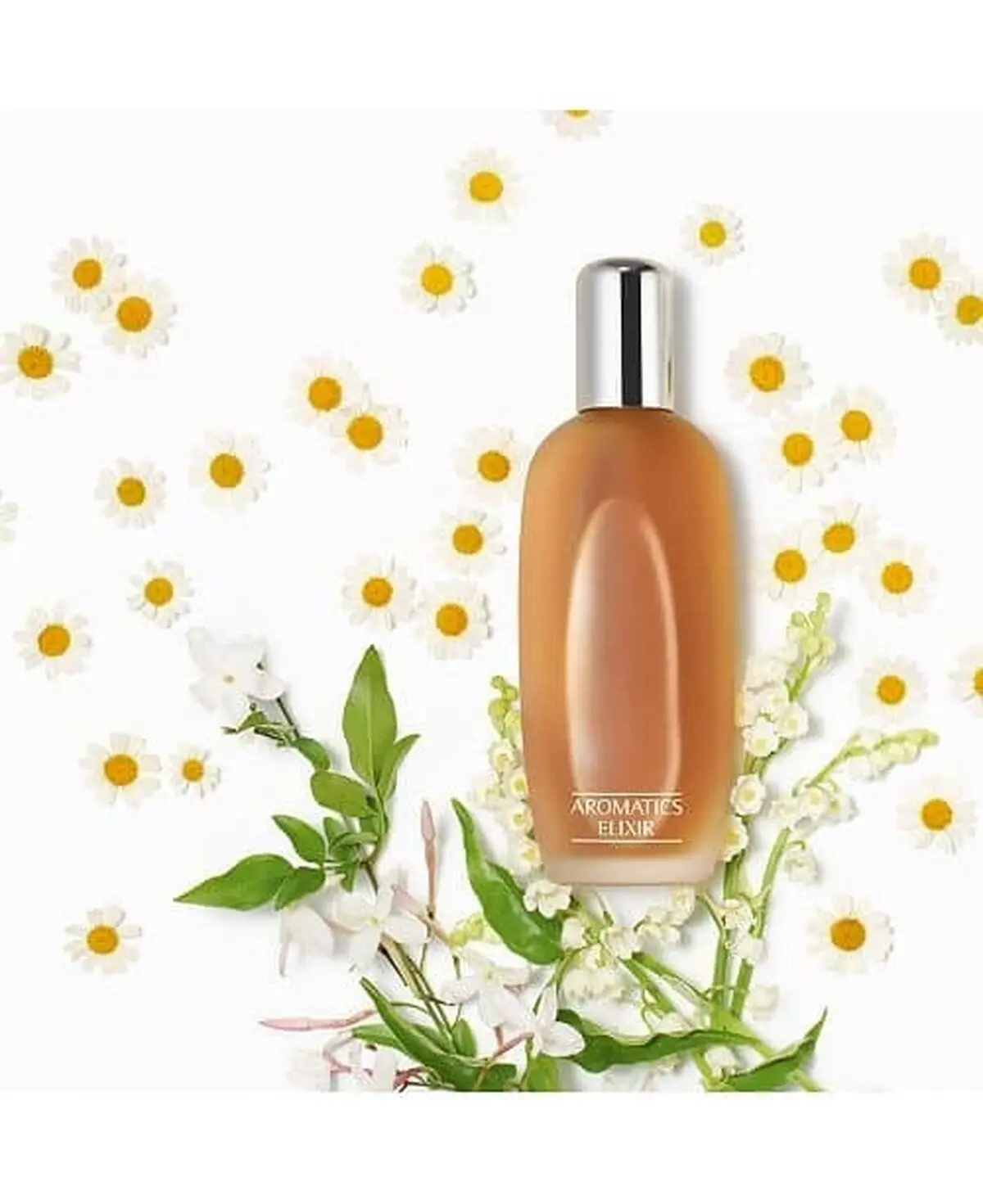 عطر2