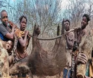 کباب گراز؛ بربرهای برهنه کت بسته گراز و با قمه پوست کندن درسته خام خام بلعیدن