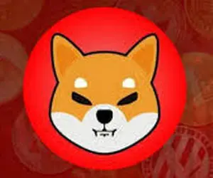 عرصه ای مهم از شیبا درحال شکل گیری؟!