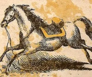 بازی فکری؛ سوارکار کجاست؟ قبل از ۱۱ ثانیه برای کسب «مقام قهرمانی» آن را پیدا کنید.