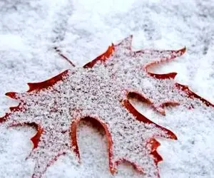 هواشناسی کشور امروز دوشنبه ۸ بهمن ماه/ برف و باران در مناطق مرکزی کشور