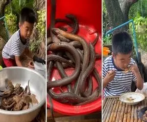 غذای چندش؛ حماسه‌ای از نیم وجبی که مار و قورباغه رو زنده مرینیت کرد واویلاا آخرشه