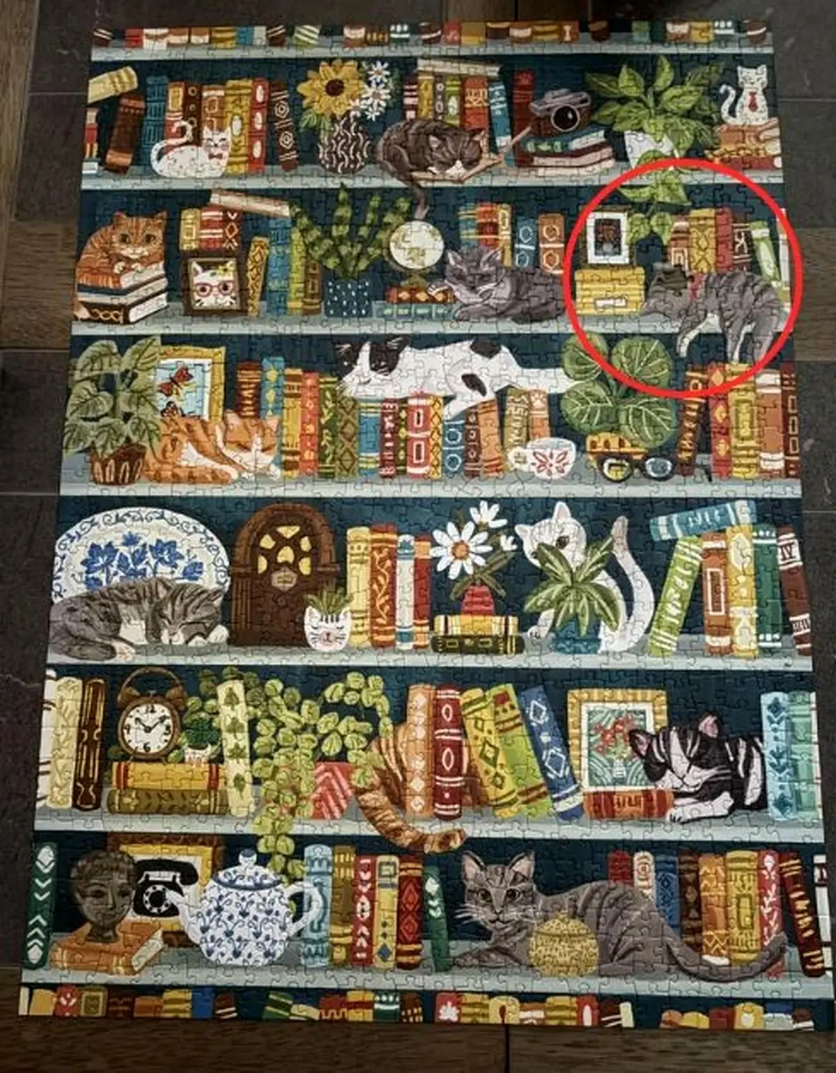 Josh-Folder-(19)-1767423480747