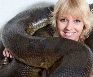 از جذابیت های حیات وحش؛ پیتونی بزرگ و سنگین که رو زمین می خزه زیر پا می لرزه