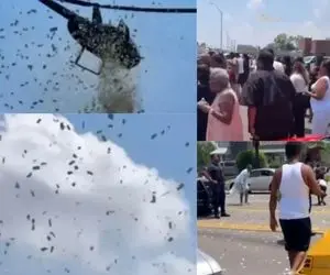 بارش دلار از آسمان!