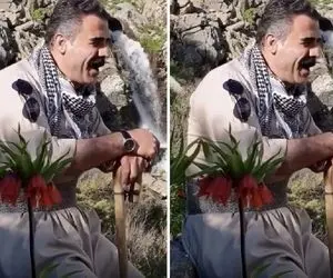 آواز جگرسوز؛ آقاهه تک و تنها تو کوه و دشت با غم از حسن زیرک خوند