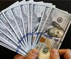 پیش بینی ترسناک یک کارشناس از قیمت دلار / دلار کانال ۱۰۰ هزار تومان را هم رد می کند؟