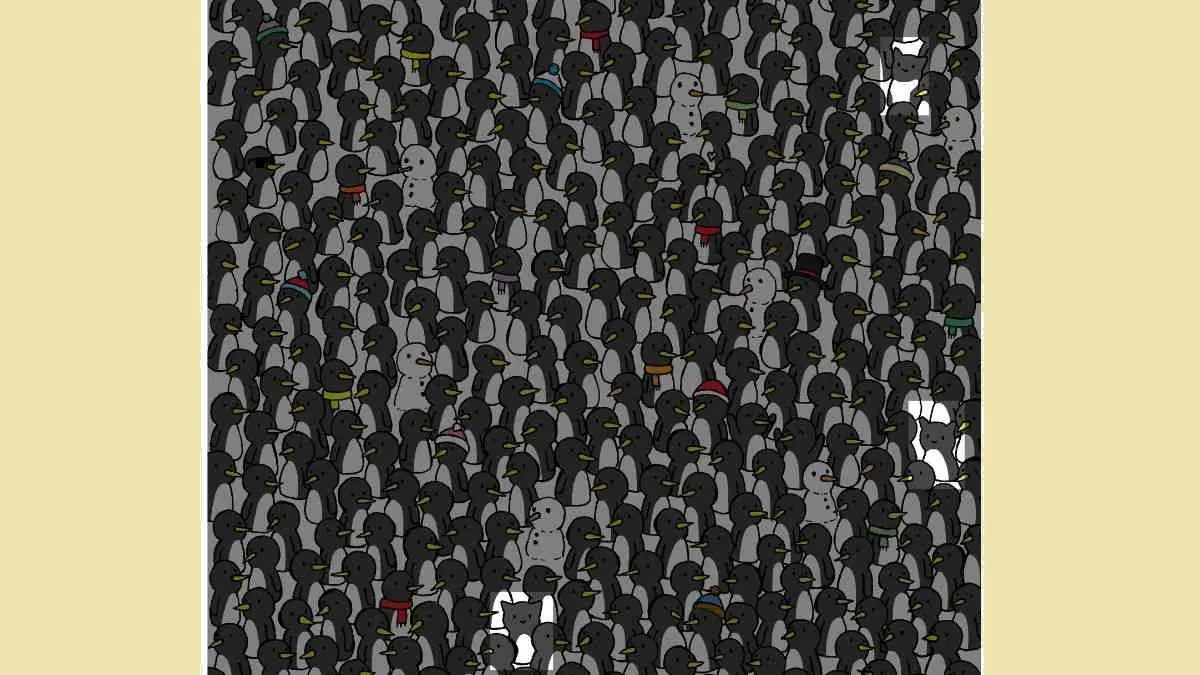 پاسخ-تست-بینایی-یافتن-۳-گربه-حریص-بین-پنگوئن_ها