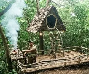 معماری خلاقانه؛ آقاهه وسط تنه درخت یه کلبه شکل مثلث ساخته شبیه لوله گنجشک