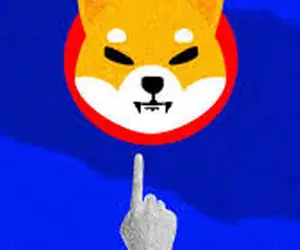 چند درصد به شیبااینو امید داشته باشیم؟