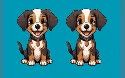 بازی فکری؛ عمرا بتونی زیر 5 ثانیه سه تا فرق پیدا کنی وگرنه برد پیت مخلصته