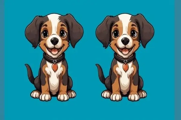 بازی فکری؛ عمرا بتونی زیر 5 ثانیه سه تا فرق پیدا کنی وگرنه برد پیت مخلصته