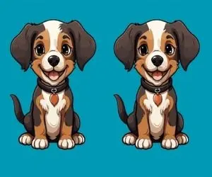 بازی فکری؛ عمرا بتونی زیر 5 ثانیه سه تا فرق پیدا کنی وگرنه برد پیت مخلصته