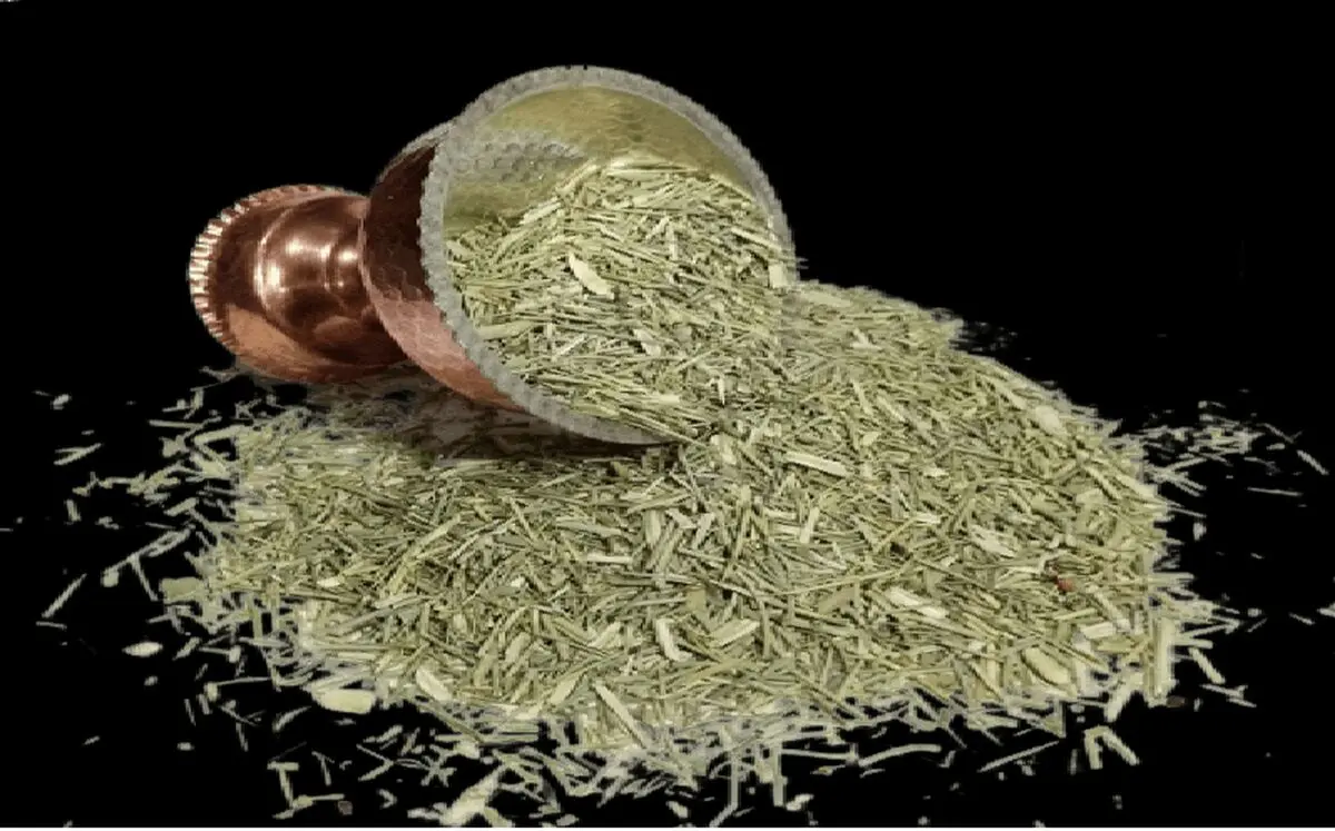 خارشتر10