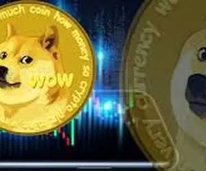 دلیل توقف دوج کوین؟!