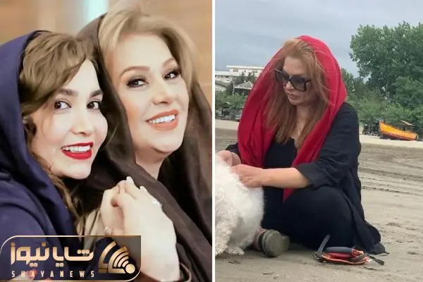 nasrin moghanloo shayanews