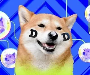 زمان سوار شدن کشتی دوج کوین فرا رسیده؟