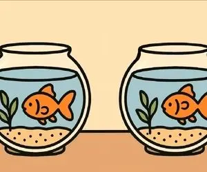 بازی فکری؛ فقط یک نفر از هر 20 نفر می‌توانند 3 تفاوت بین تنگ ماهی قرمز رو پیدا کنن