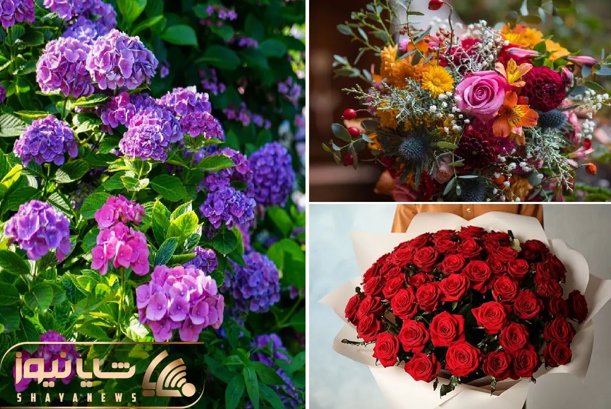 گل باغچه