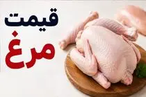 قیمت مرغ امروز یکشنبه 22 شهریور 1405 / مرغ کامل چقدر است؟